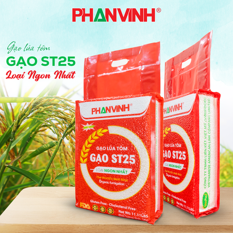 Gạo ST25 - Gạo Lúa Tôm