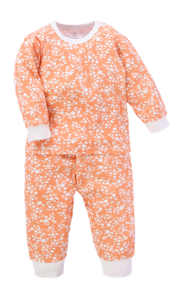 Bộ dài tay bé gái