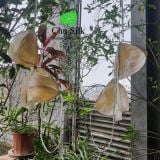  Áo Bra tơ tằm Chu Silk khuy gỗ cài trước 