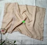  Đôi vỏ gối lụa tơ tằm nguyên chất mầu be 