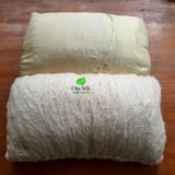  Ruột gối tơ tằm 