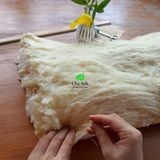  Ruột gối tơ tằm 