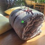  Chăn đơn tơ tằm 1.6*2m màu xám nặng 1kg tơ (Chăn tơ tằm chần ruột tơ nguyên tấm to) 