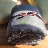  Chăn đơn tơ tằm 1.6*2m màu xám nặng 1kg tơ (Chăn tơ tằm chần ruột tơ nguyên tấm to) 