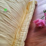  Chăn tơ tằm chần ruột tơ họa tiết hoa thị nặng 1.5kg size 2.2*2.4m 