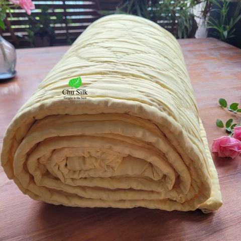  Chăn tơ tằm chần ruột tơ họa tiết hoa thị nặng 1.5kg size 2.2*2.4m 