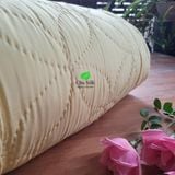  Chăn tơ tằm chần ruột tơ họa tiết hoa thị nặng 1.5kg size 2.2*2.4m 