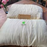  Ruột gối tơ tằm 