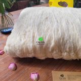  Ruột gối tơ tằm 