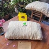  Ruột gối tơ tằm 