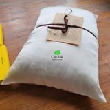  Gối tơ tằm bao gồm cả vỏ gối cao cấp sz 40*60cm 