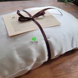  Gối tơ tằm bao gồm cả vỏ gối cao cấp sz 40*60cm 