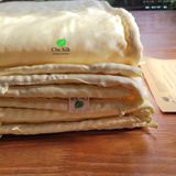  Ruột chăn tơ tằm loại đặc biệt không chần và có áo lụa 