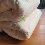  Chăn đơn tơ tằm 1.6*2m màu trắng nặng 2kg tơ (Chăn tơ tằm chần ruột tơ nguyên tấm to) 