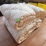  Chăn đơn tơ tằm 1.6*2m màu trắng nặng 2kg tơ (Chăn tơ tằm chần ruột tơ nguyên tấm to) 