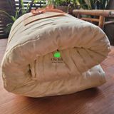  Ruột chăn tơ tằm cho mùa Đông 