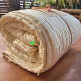  Ruột chăn tơ tằm cho mùa Đông 