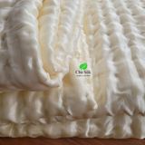  Ruột chăn tơ tằm cho mùa hè thu cỡ 2.4*2.6m nặng 1.5kg tơ 
