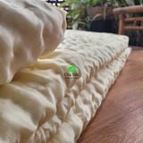  Ruột chăn tơ tằm cho mùa hè thu cỡ 2.4*2.6m nặng 1.5kg tơ 