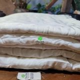  Chăn tơ tằm do con tằm tự dệt chần khâu tay cho mùa hè thu cỡ 2.4*2.6m nặng 1.5kg tơ 