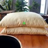  Gối tơ tằm từ vỏ tới ruột đều là tơ cho người lớn size 50*70cm, nặng 800g tơ/chiếc 