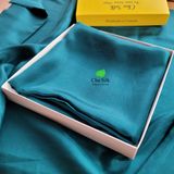  Vỏ gối lụa tơ tằm Chu Silk 