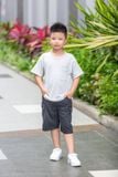  Áo T-shirt Trẻ Em Unisex TS253 