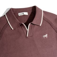 ÁO THUN POLO DỆT KIM CAO CẤP RAGLAN - MÀU RUỐC