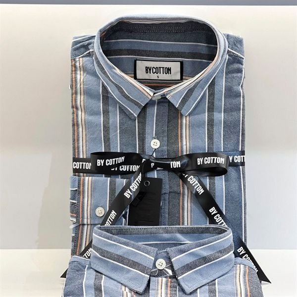 BIG BLUE STRIPES OXFORD 1022
