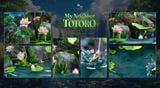  Totoro in the Lotus Pond - My Neighbor Totoro - Monogatari Studio 
