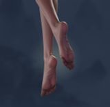  Ruan Mei - Honkai Star Rail - Arctic Wolf Studio x Miyin Studio 