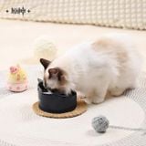  Bộ bát gốm giành cho thú cưng chủ đề Fairy Cat - Genshin Impact 