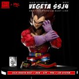  Vegeta SSJ4 Bust - Dragon Ball - MAD & MRC Studio 
