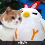  Thú bông Gà Tinh Vệ Điểu Honkai Impact 3 