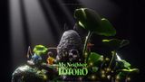  Totoro in the Lotus Pond - My Neighbor Totoro - Monogatari Studio 
