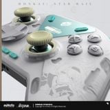  Tay Cầm Chơi Game Flydigi APEX 4 Elite Gaming chủ đề Firefly - Honkai Star Rail 