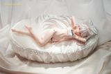  Wakening White Haired-Chan - Illustration by Hayashi Kewi - SSR FIGURE 