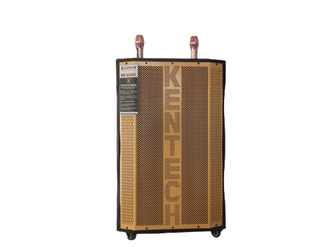  Loa Di Động SW-5500S 