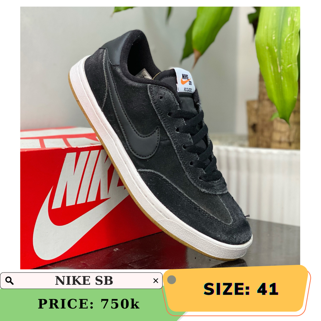 nike sb 42