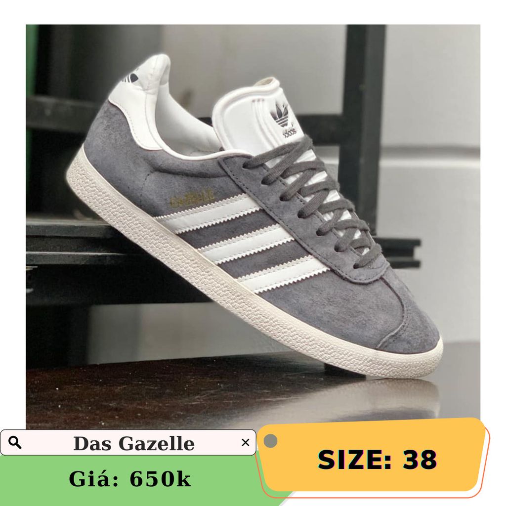 Gazelle 38 store