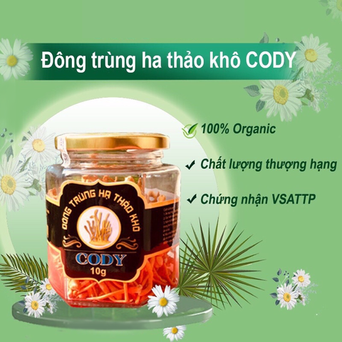 Nấm đông trùng hạ thảo