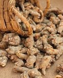  Bột Tam Thất Bắc Y Diệu, giúp cải thiện tình trạng sức khỏe 