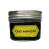  Cao Mimosa - Cải Thiện Mất Ngủ, Ngủ Sâu Giấc, An Thần, Cân Bằng Cảm Xúc 