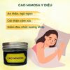  Cao Mimosa - Cải Thiện Mất Ngủ, Ngủ Sâu Giấc, An Thần, Cân Bằng Cảm Xúc 