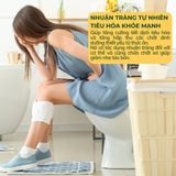  Siro Kha Tử Sơn Tra 