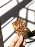  Snack Rong Biển Gạo Lứt ( 16 miếng ) 