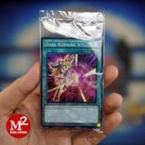 Gói thẻ bài Yugioh promo 3 lá bài 