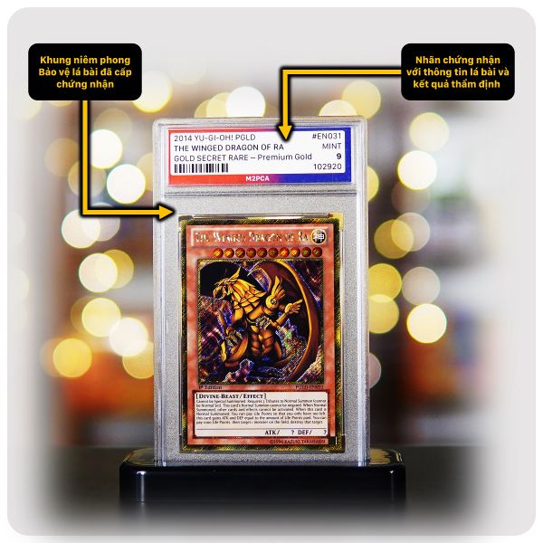 Gói Chuyên nghiệp - Dịch vụ thẩm định và cấp chứng nhận M2 Professional Card Authenticator - M2PCA Kit