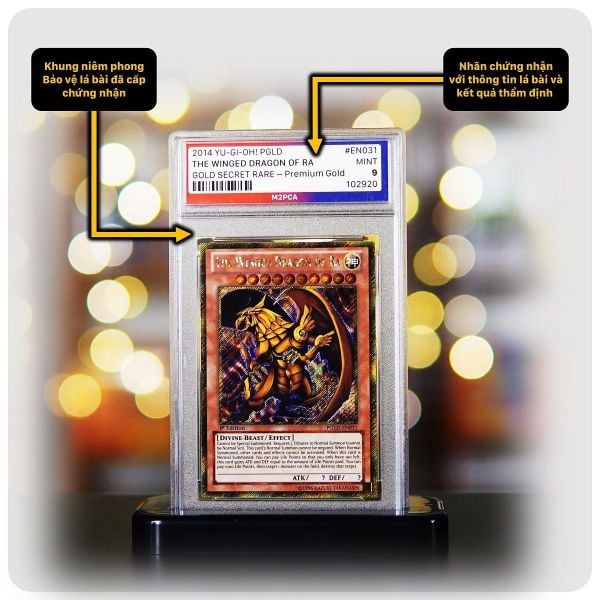 Gói Tiêu chuẩn - Dịch vụ thẩm định và cấp chứng nhận M2 Professional Card Authenticator - M2PCA