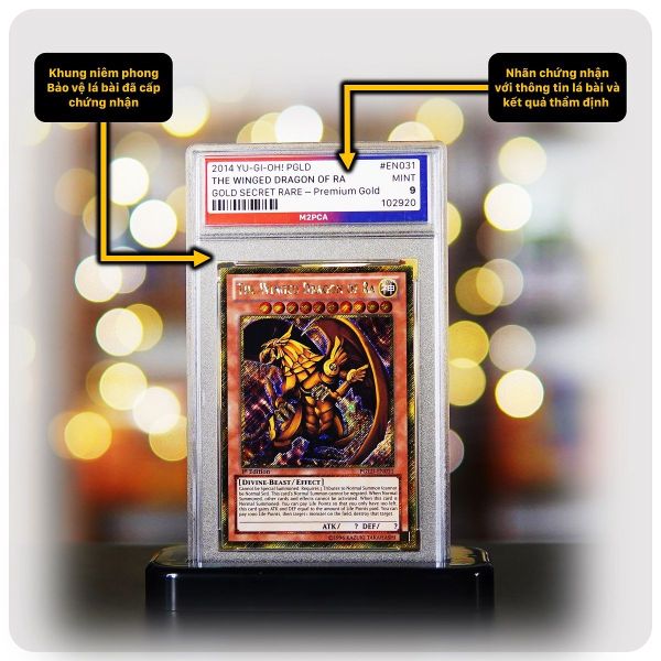 Gói Tiết kiệm - Dịch vụ thẩm định và cấp chứng nhận M2 Professional Card Authenticator - M2PCA